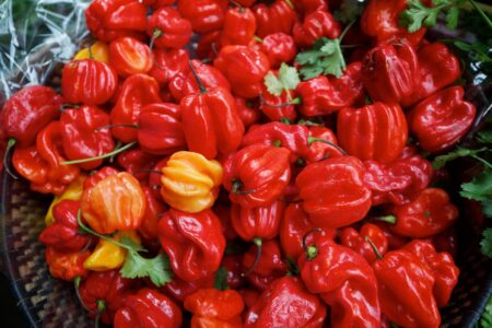 Ata Rodo(Scotch Bonnet Pepper)